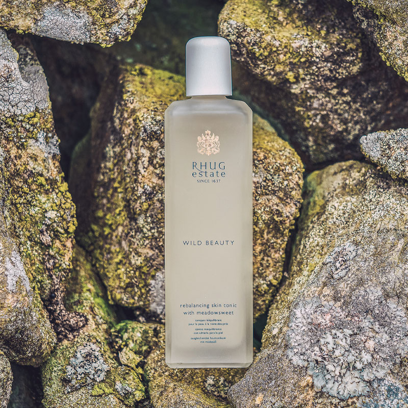 Rebalancing Skin Tonic with Meadowsweet (120ml)