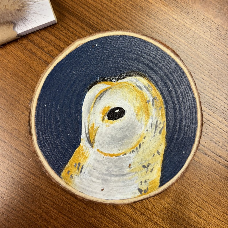 Barn Owl Coaster